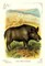 The Wild Boar 1900 Poster Print by Unknown - Item # VARPDX342767